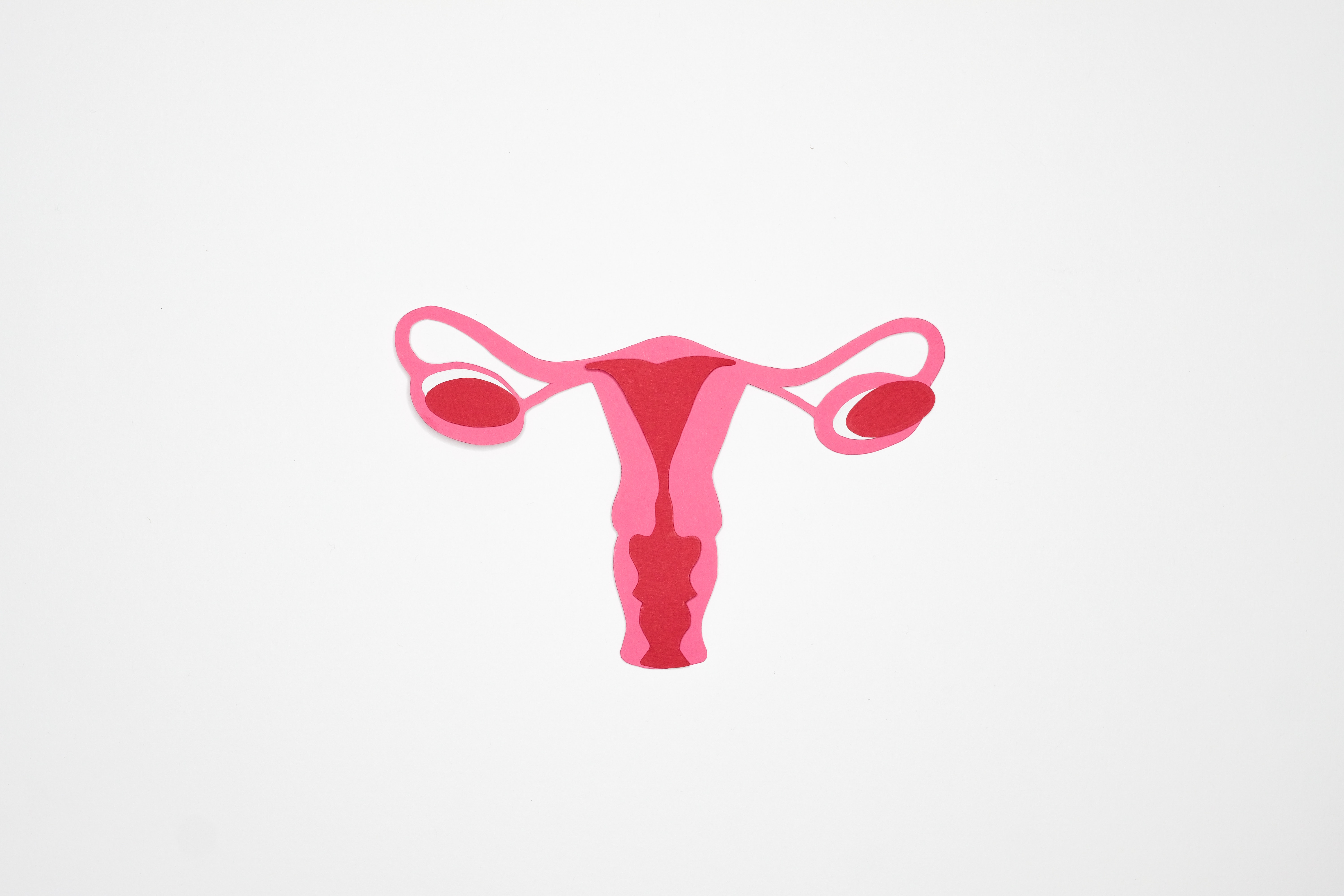 Womens Health: What Are The Most Common Causes Of Fibroids? & Do They Affect Chances Of Conceiving Naturally?