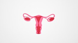 As Cases Of Fibroids Continue To Rise In Young Indian Women; Here Are Some Things To Consider