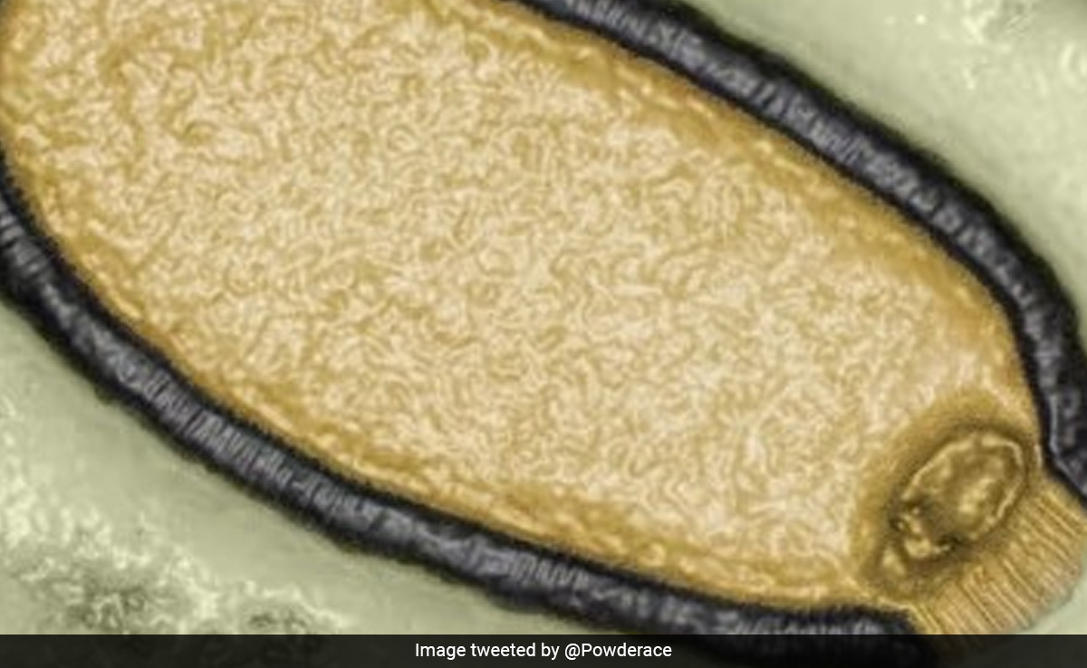 'Zombie' Virus Which Spent 48,500 Years Frozen In Arctic Could Spark Deadly Pandemic, Warn Scientists