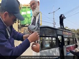 मांझे में फंसकर तड़प रहा था कबूतर, ट्रैफिक कॉन्स्टेबल ने बस पर चढ़कर बचाई जान, IAS ने ऐसे दिया सम्मान मांझे में फंसकर तड़प रहा था कबूतर, ट्रैफिक कॉन्स्टेबल ने बस पर चढ़कर बचाई जान, IAS ने ऐसे दिया सम्मान
