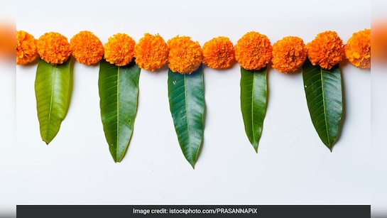 Ganesh Chaturthi 2024: ट्रेंडी तोरण से करें गणपति बप्पा का स्वागत, घर के दरवाजे पर लगाएं ये 6 लेटेस्ट डिजाइन