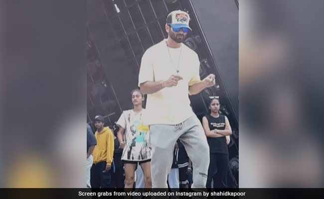 Can Shahid Kapoor Work "All Day"? His ROFL Answer