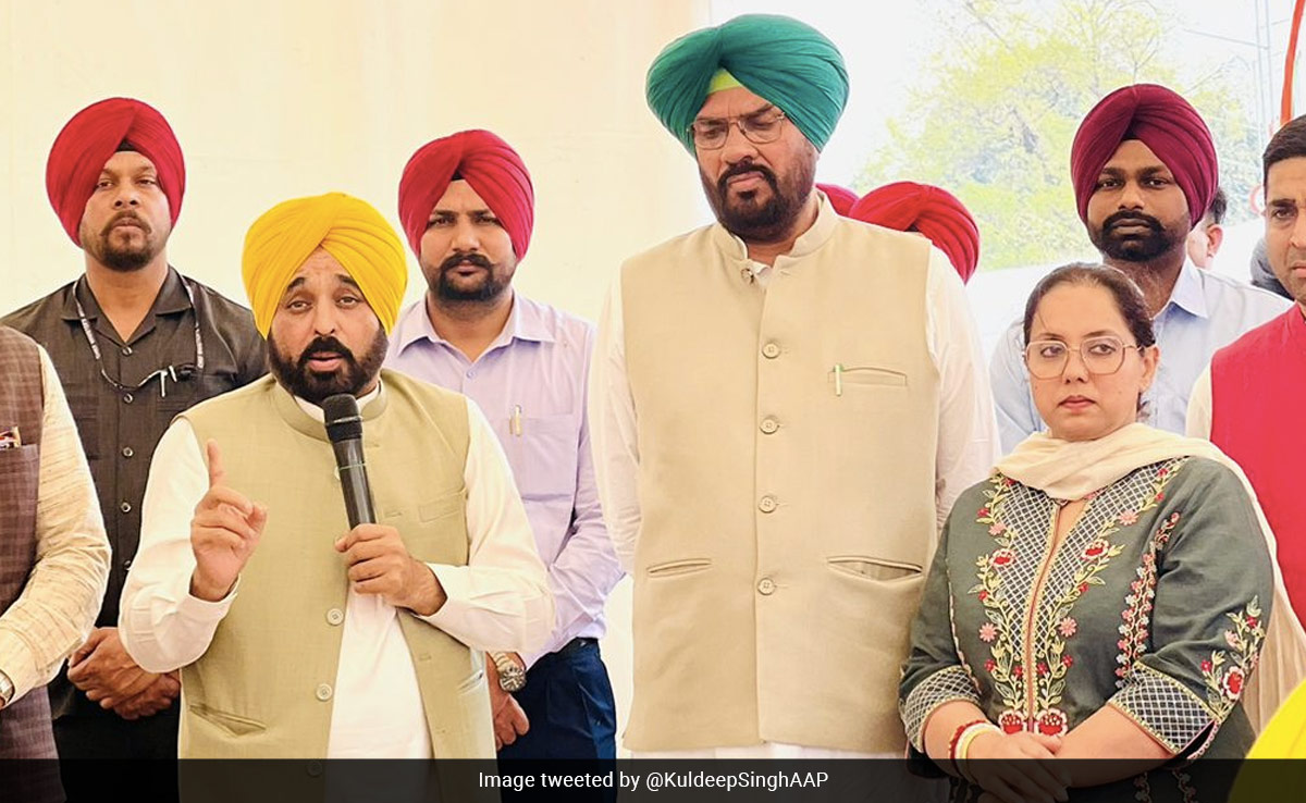 Will Not Allow Lawlessness: AAP Minister As Cops Hunt For Khalistani Leader