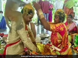 शादी के मंडप में चल रही थीं रस्में, अचानक दूल्हा-दुल्हन के सिर पर कूदा बंदर, दोनों का हुआ ये हाल शादी के मंडप में चल रही थीं रस्में, अचानक दूल्हा-दुल्हन के सिर पर कूदा बंदर, दोनों का हुआ ये हाल