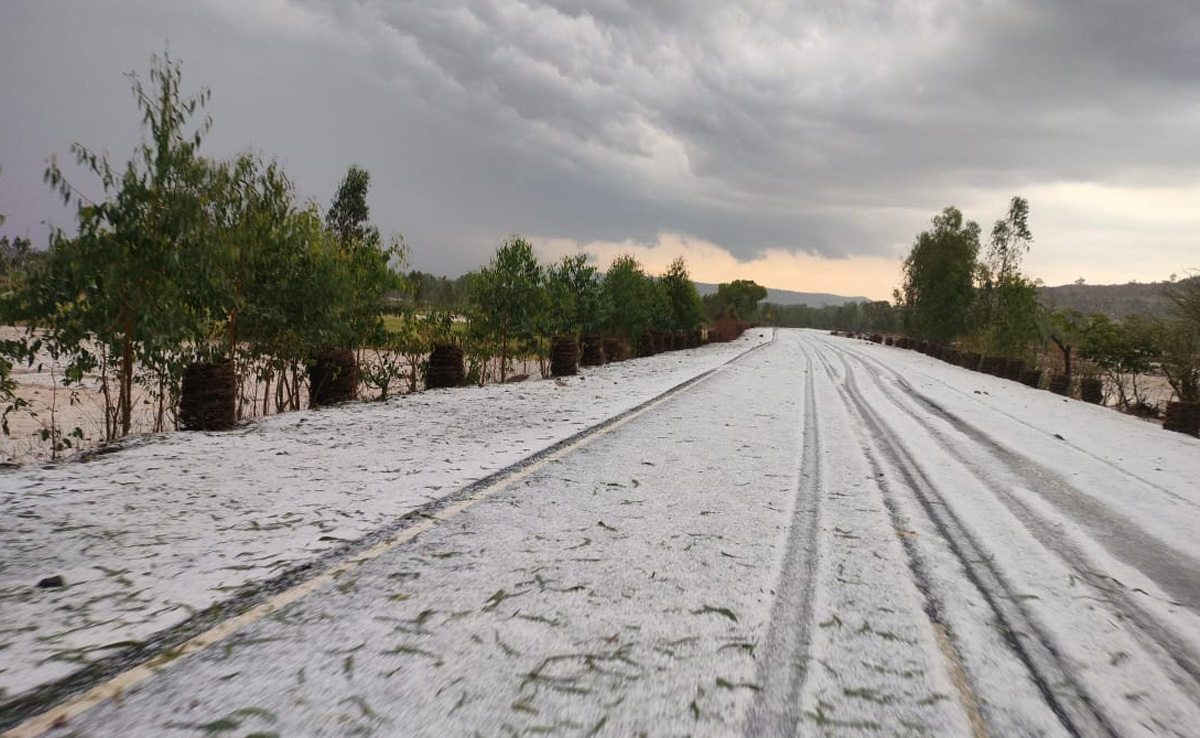 Kashmir? No. Shimla? No. These Pics Are From Madhya Pradesh