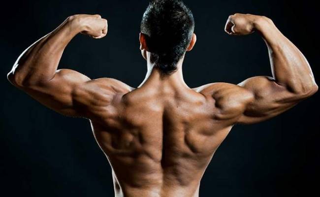 Primobolan Steroid Review - Cycles, Dosage, Side Effects and Alternatives