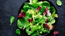 Palak Dosa, Palak Kadhi And More: 5 Spinach Recipes To Try This Summer