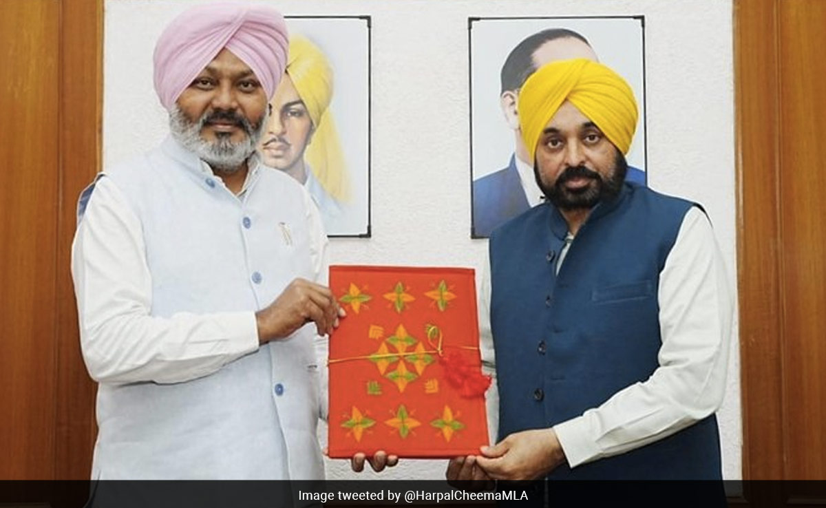 "Warn Enemies Of Punjab To Fall In Line Or...": AAP Minister In Budget Speech