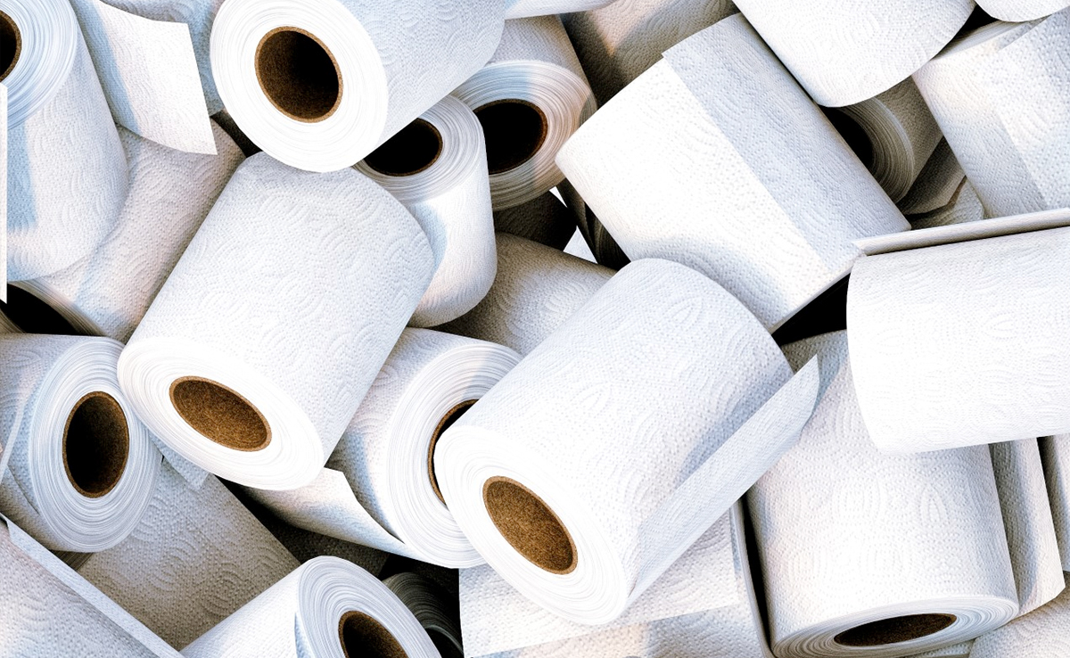 Toilet Paper Around The World Contains Harmful 'Forever Chemicals', Says Study