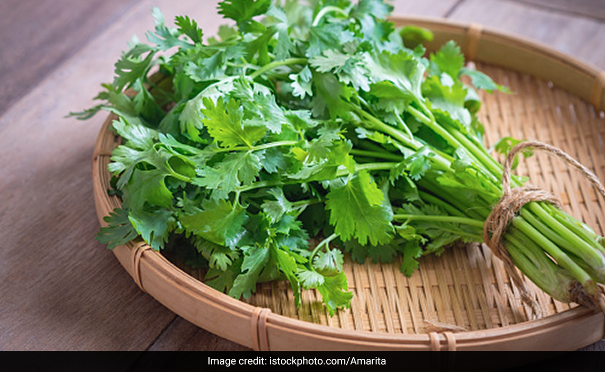सिर्फ थाली की सजावट के लिए नहीं, इन बीमारियों से निजात पाने के लिए करें धनिया पत्ती का इस्तेमाल