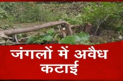MP: जंगल में अवैध कटाई करने वालों पर सख्ती नहीं बल्कि समझाइश की बात कर रहे वन मंत्री  MP: जंगल में अवैध कटाई करने वालों पर सख्ती नहीं बल्कि समझाइश की बात कर रहे वन मंत्री