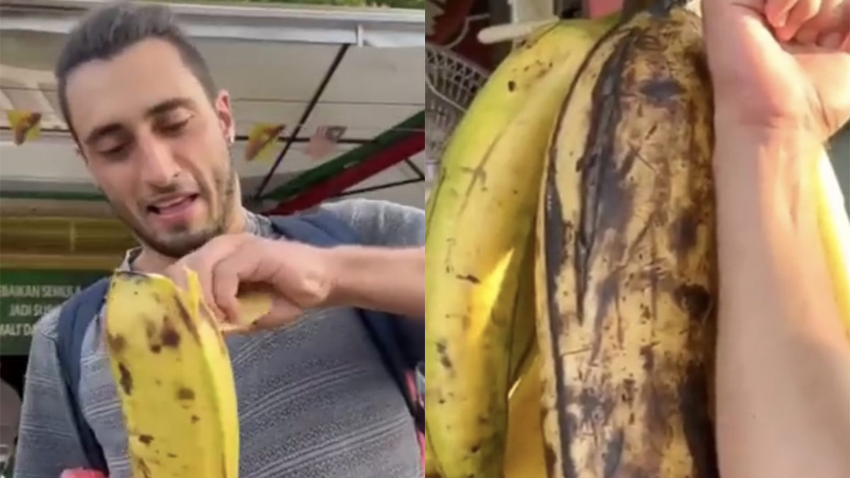 Watch: World's Largest Banana Species Weighs More Than 3 Kg