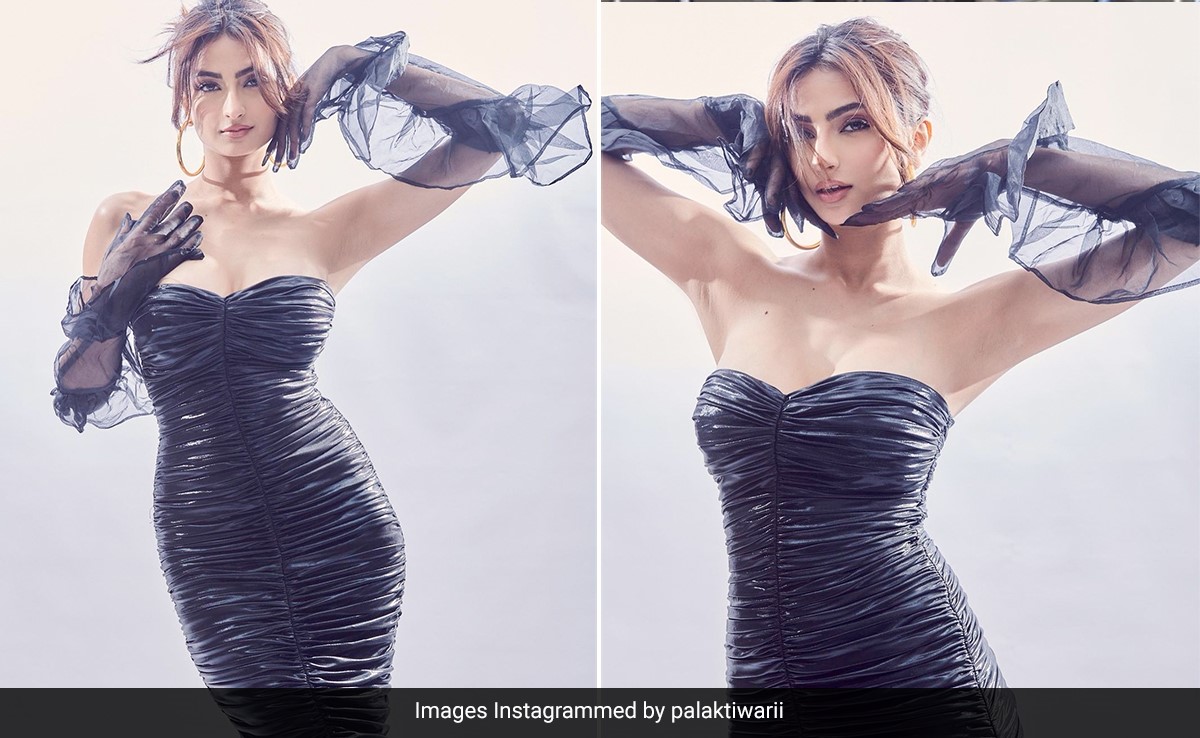 We're Trapped In Palak Tiwari's Web Of Her Stylish Black Ruched Leather Dress