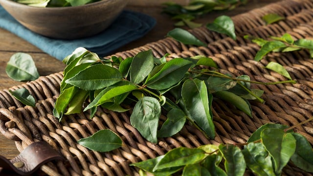Curry leaves are loaded with vitamin A