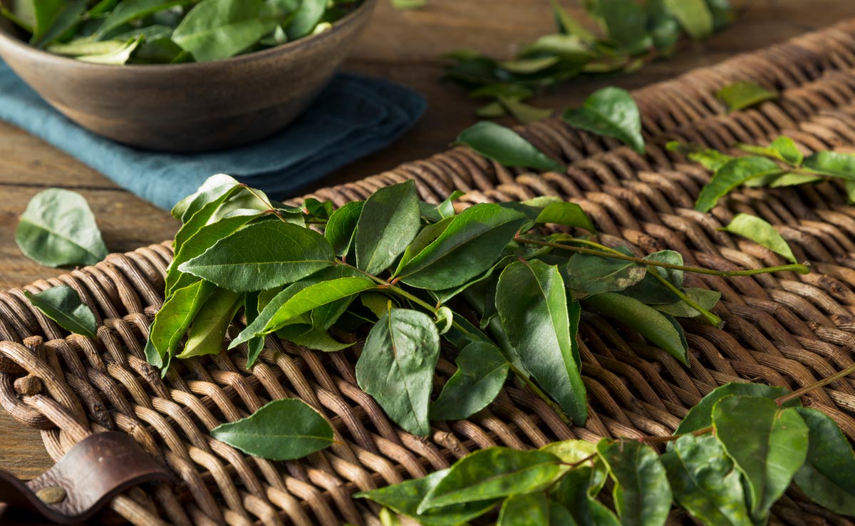 Curry leaves are loaded with vitamin A