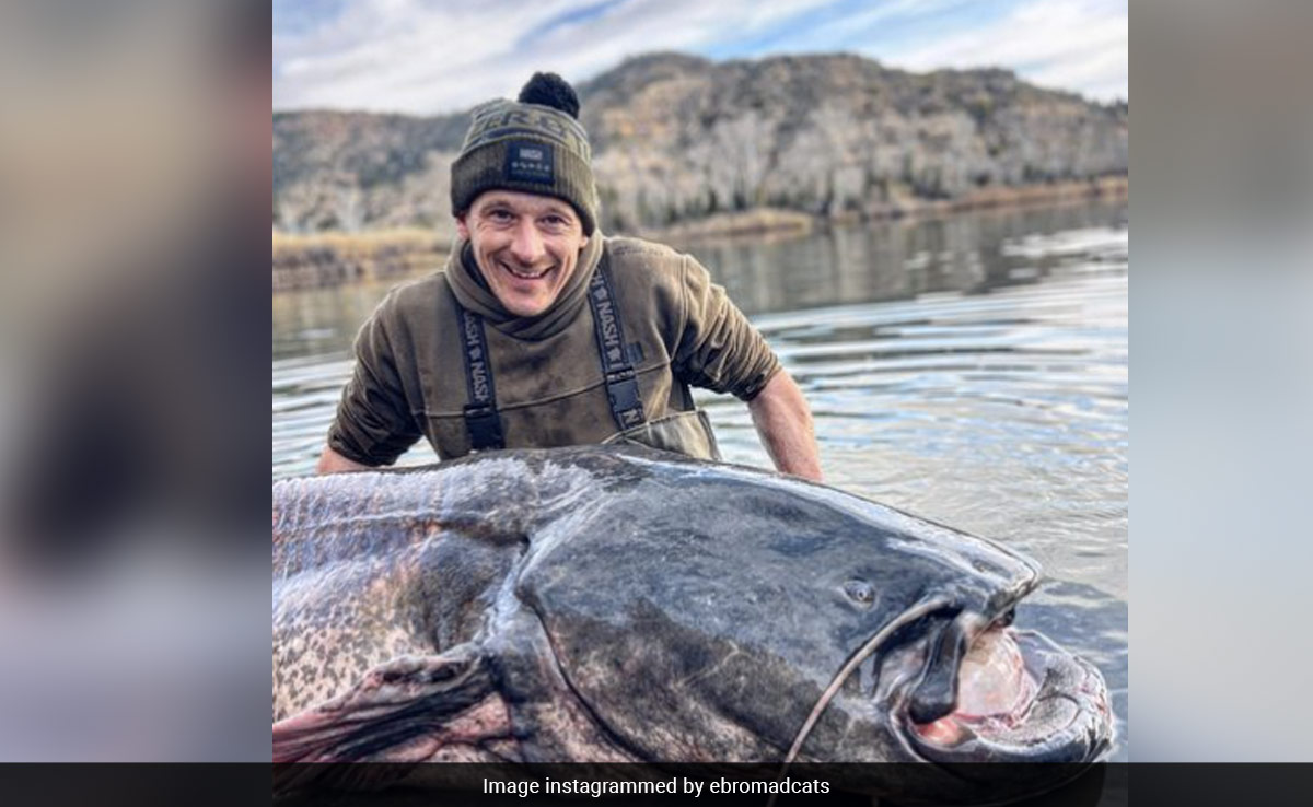 Fisherman Catches 200-Pound Catfish After Hour-Long Battle