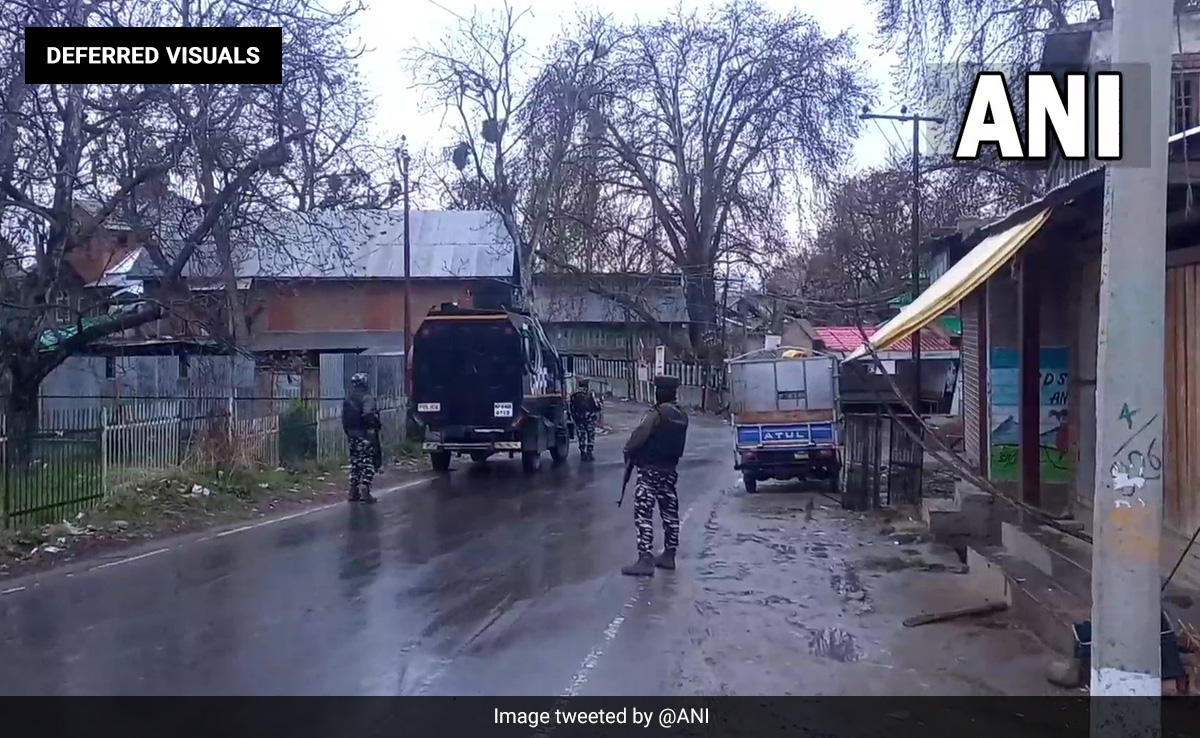 Terrorist Killed In Encounter With Security Forces In J&K's Pulwama