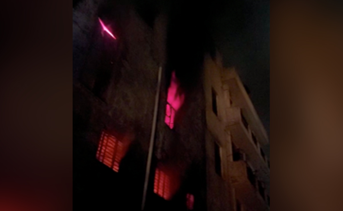 Video: Massive Fire At Plastic Factory In Delhi, 1 Injured