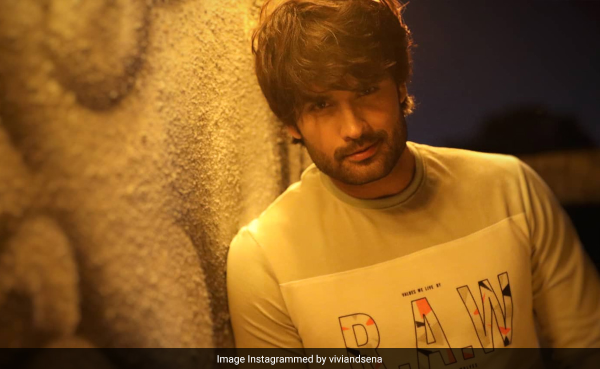 Vivian Dsena, Married To An Egyptian, Reveals He Has Followed Islam Since 2019