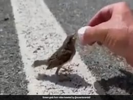 प्यासी थी गौरैया, देखकर रुक गया साइकिल सवार, अपनी बोतल से पिलाया पानी, IFS ने Video के जरिए कही ये अनमोल बात प्यासी थी गौरैया, देखकर रुक गया साइकिल सवार, अपनी बोतल से पिलाया पानी, IFS ने Video के जरिए कही ये अनमोल बात