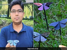 Indian-Origin Scientist Creates World's First Energy-Saving Paint, Inspired By Butterflies Indian-Origin Scientist Creates World's First Energy-Saving Paint, Inspired By Butterflies
