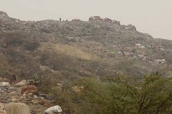 Delhi's Garbage Crisis: What Is The Difference Between Dumpsites And Landfills? Delhi's Garbage Crisis: What Is The Difference Between Dumpsites And Landfills?