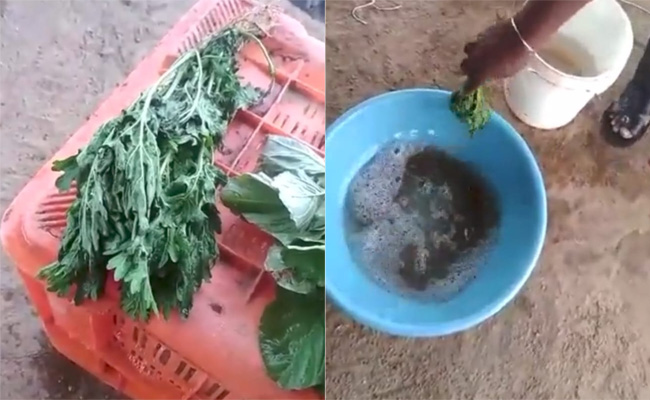 Viral: Man Dips Leafy Veggies In 'Chemical Solution' - Watch What Happens Next