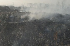 Kochi Struggles To Breathe Amid Toxic Smoke. Here's Why Kochi Struggles To Breathe Amid Toxic Smoke. Here's Why