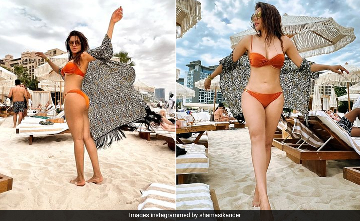 Your Beach View Is About To Get Even Better With Shama Sikander In A Rust Toned Swimsuit