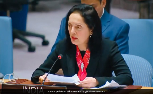 Violence Against Women, Girls By Terrorists Remains Rampant: India At UN