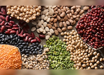 5 Common Kitchen Ingredients That Spoil In Monsoon And How To Save Them 5 Common Kitchen Ingredients That Spoil In Monsoon And How To Save Them