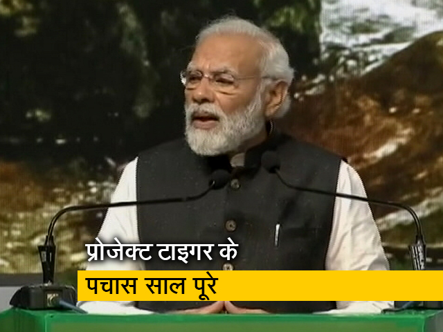 पीएम मोदी ने गिनाई प्रोजेक्ट टाइगर की उपलब्धियां, बोले- भारत में हैं दुनिया के 75 फीसदी बाघ
