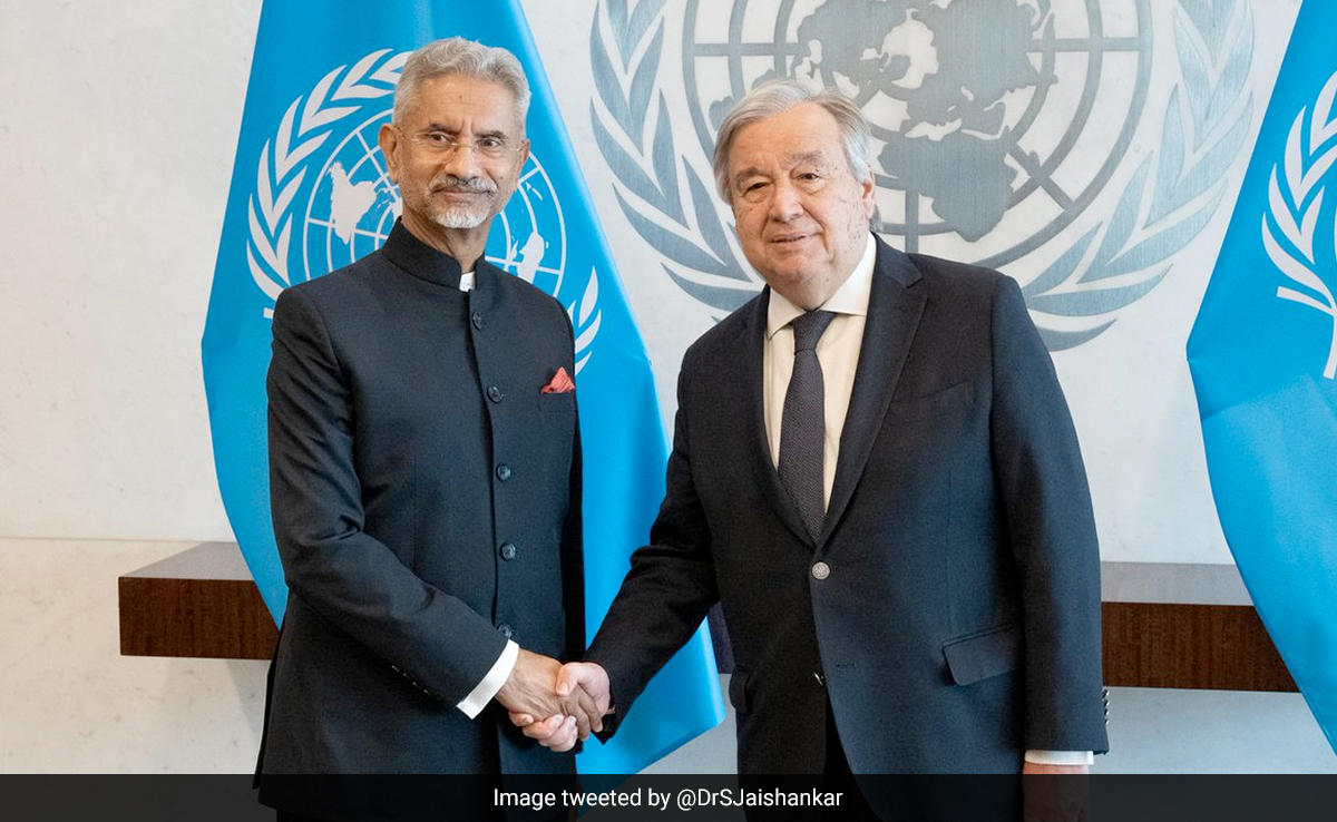 Successful Diplomacy Needed For Sudan Ceasefire: S Jaishankar To UN Chief