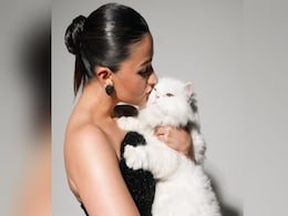 Nothing, Just Alia Bhatt "Prepping For Met" With Her "Choup-Ed" AKA Pet Edward. See ROFL Post Nothing, Just Alia Bhatt "Prepping For Met" With Her "Choup-Ed" AKA Pet Edward. See ROFL Post
