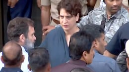 Rahul Gandhi Gets Bail, Gujarat Court Pauses 2-Year Sentence