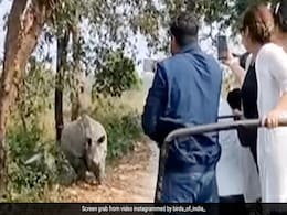 टूरिस्ट गाड़ी के पीछे पड़ गए दो गैंडे, ऐसा खदेड़ा कि तेज़ रफ्तार में उल्टी भगाई गाड़ी, फिर जो हुआ, सोच भी नहीं सकते टूरिस्ट गाड़ी के पीछे पड़ गए दो गैंडे, ऐसा खदेड़ा कि तेज़ रफ्तार में उल्टी भगाई गाड़ी, फिर जो हुआ, सोच भी नहीं सकते