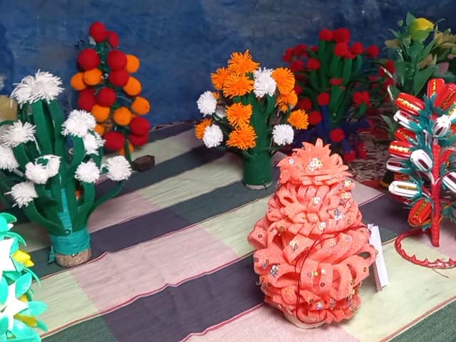 Bihar Woman Rescues Plastic Waste Into Decorative Items