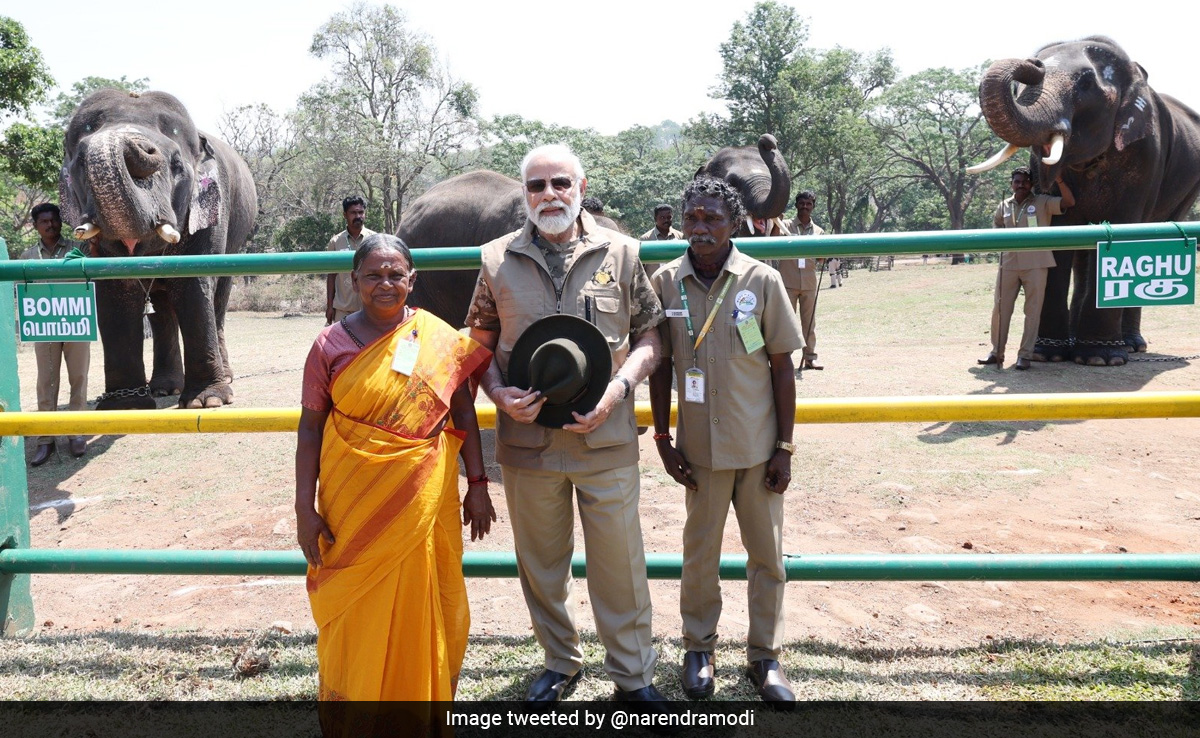 PM Modi Meets 'The Elephant Whisperers' Bomman And Bellie