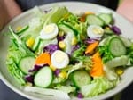Tricolor Veggie Delight Salad