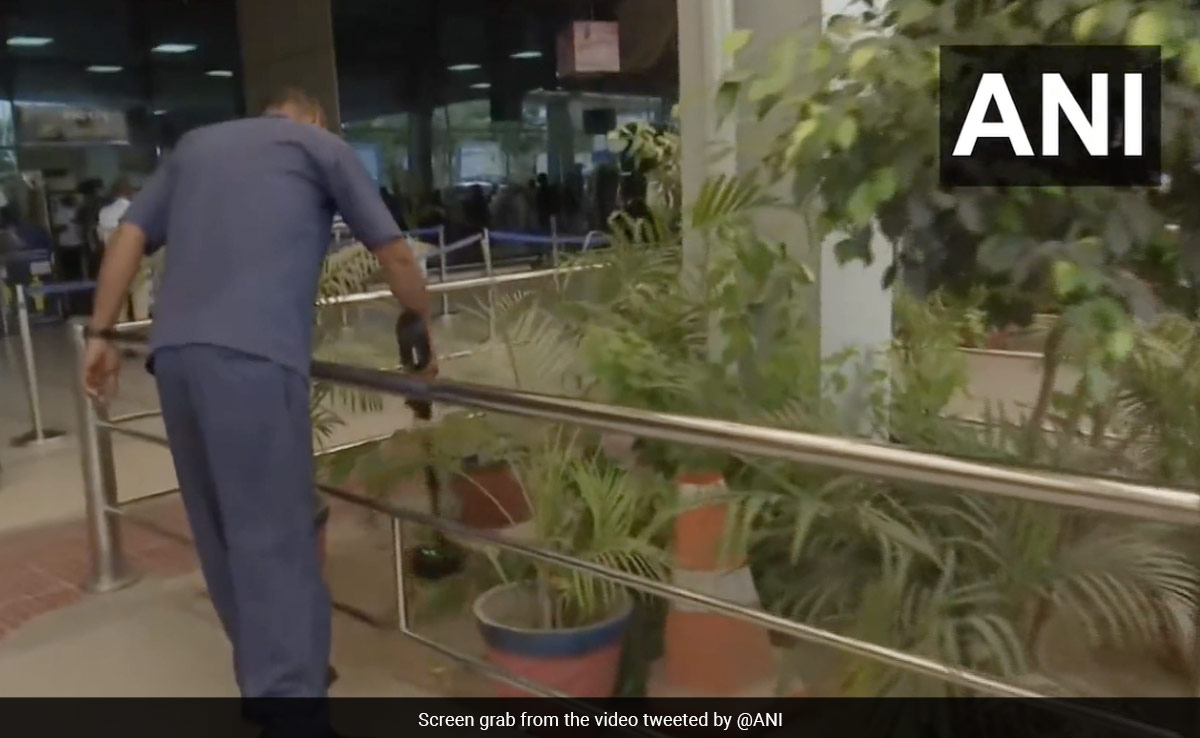 Drunk Man Who Made Haox Bomb Call To Patna Airport Detained: Cops