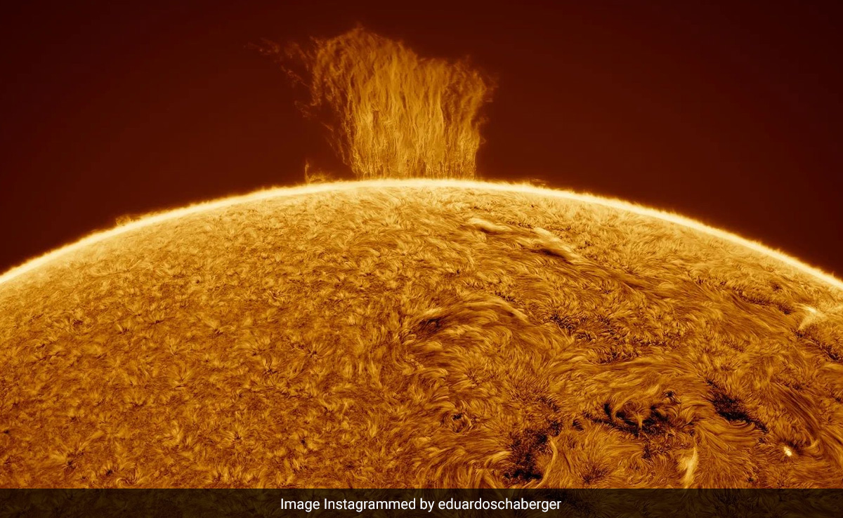 Astrophotographer Captures 60,000-Mile-Tall 'Wall Of Plasma' On The Sun
