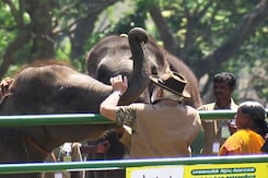 PM Meets Orphaned Elephant Who Featured In Oscar-Winning Documentary PM Meets Orphaned Elephant Who Featured In Oscar-Winning Documentary