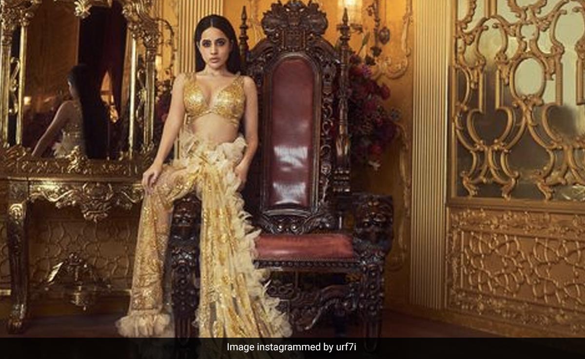 "Ranbir Can Go To Hell": Uorfi Javed Reacts To Actor's "Bad Taste" Comment