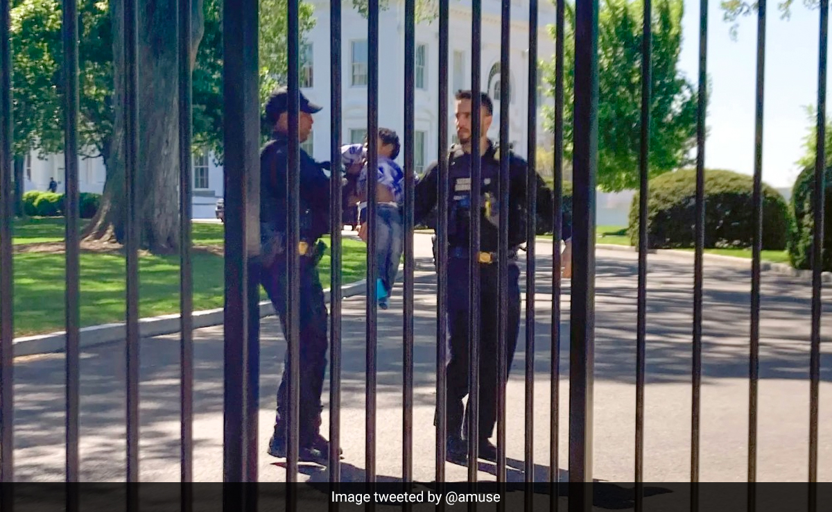 Toddler Squeezes Through White House Fence. Here's What Secret Service Did