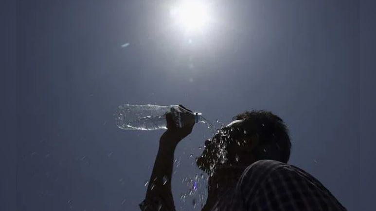 '50 डिग्री' वाली गर्मी से झुलसा राजस्थान, श्रीगंगागर, चूरू और फलोदी में हाल बेहाल