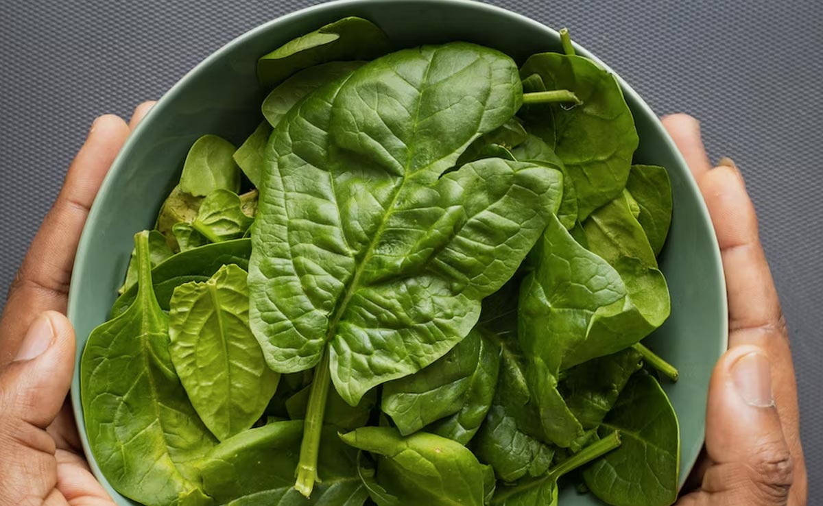 Regular consumption of spinach can have positive effects on heart health