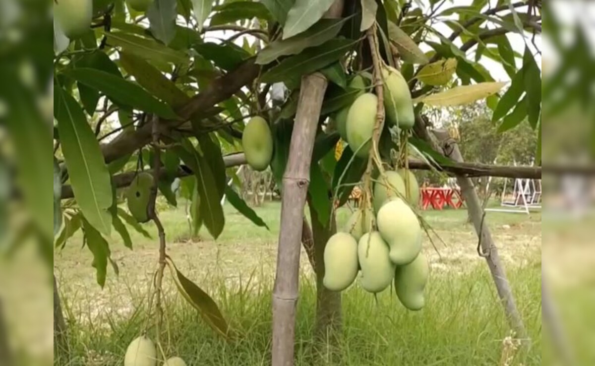 Latest and Breaking News on NDTV Latest and Breaking News on NDTV