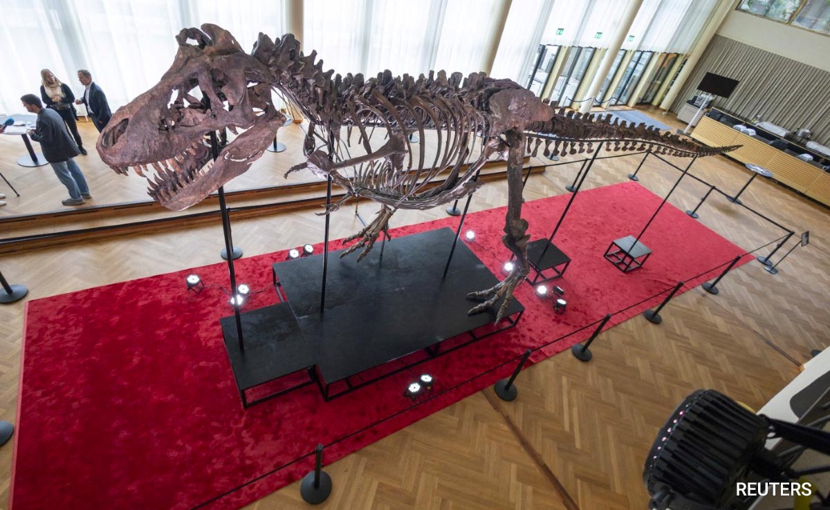 67-Million-Year Old T-Rex Skeleton Sells For Over $6 Million