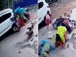 VIDEO: स्कूटी सवार महिलाओं पर कुत्तों ने बोला धावा, बचने के चक्कर में हुआ तगड़ा एक्सीडेंट VIDEO: स्कूटी सवार महिलाओं पर कुत्तों ने बोला धावा, बचने के चक्कर में हुआ तगड़ा एक्सीडेंट