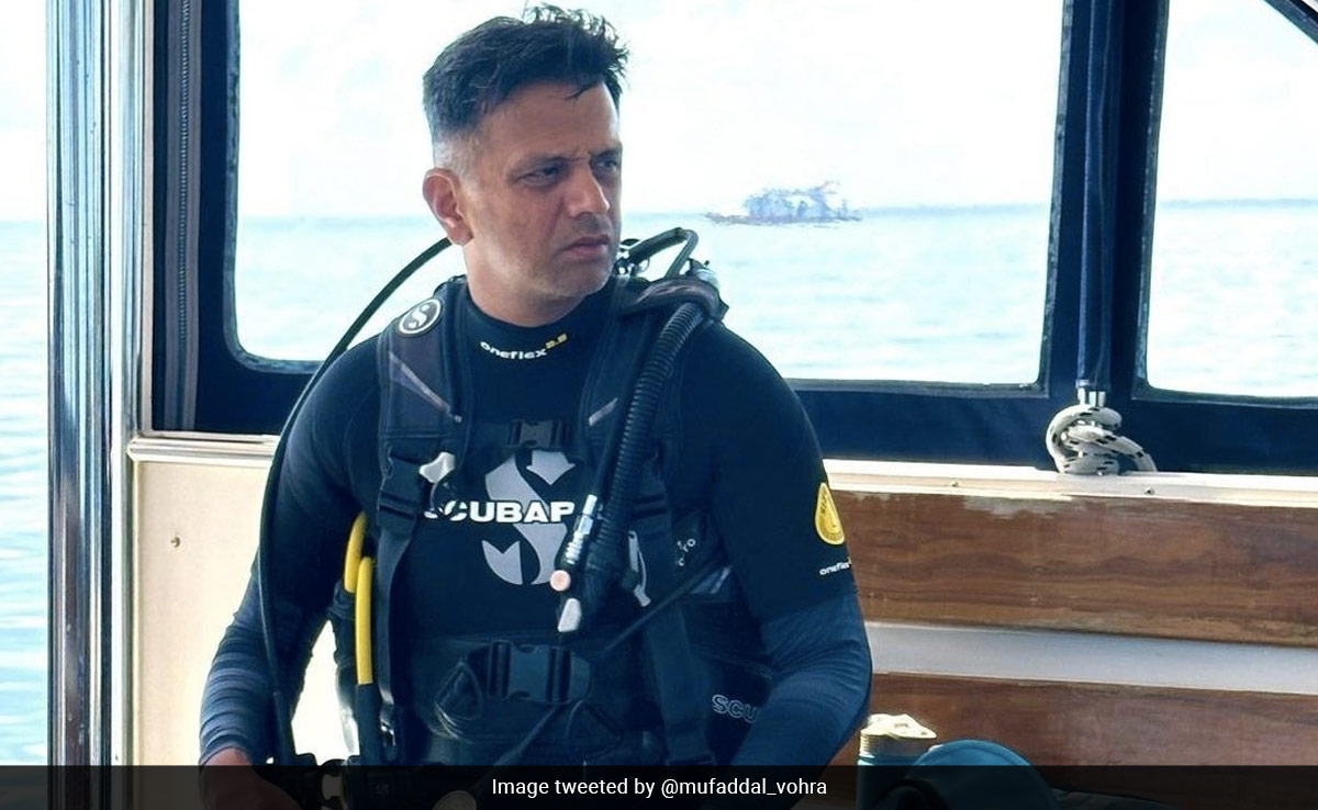 Watch: Away From IPL, India Coach Rahul Dravid Goes Scuba Diving In Maldives